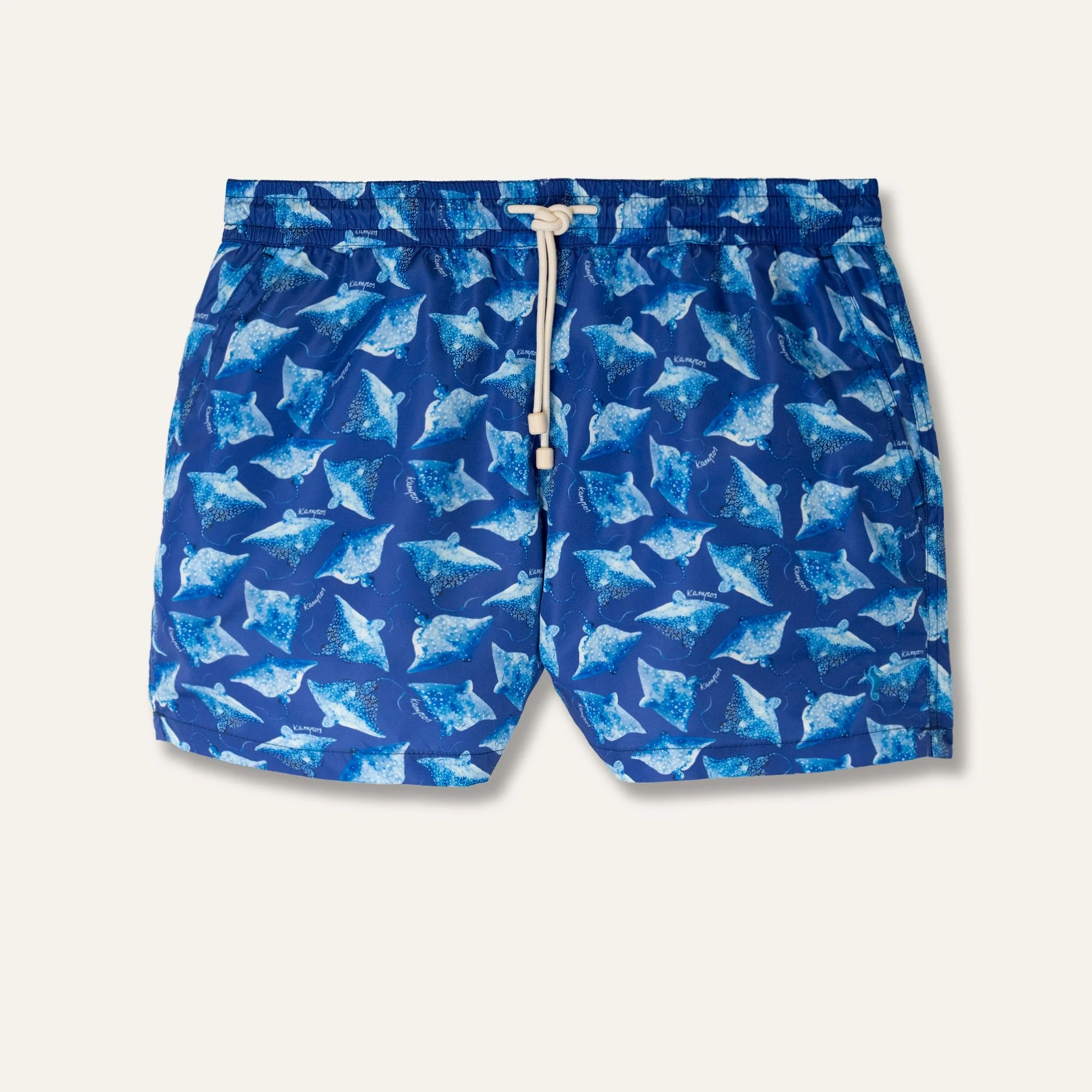 Swim Shorts Ray Navy -
