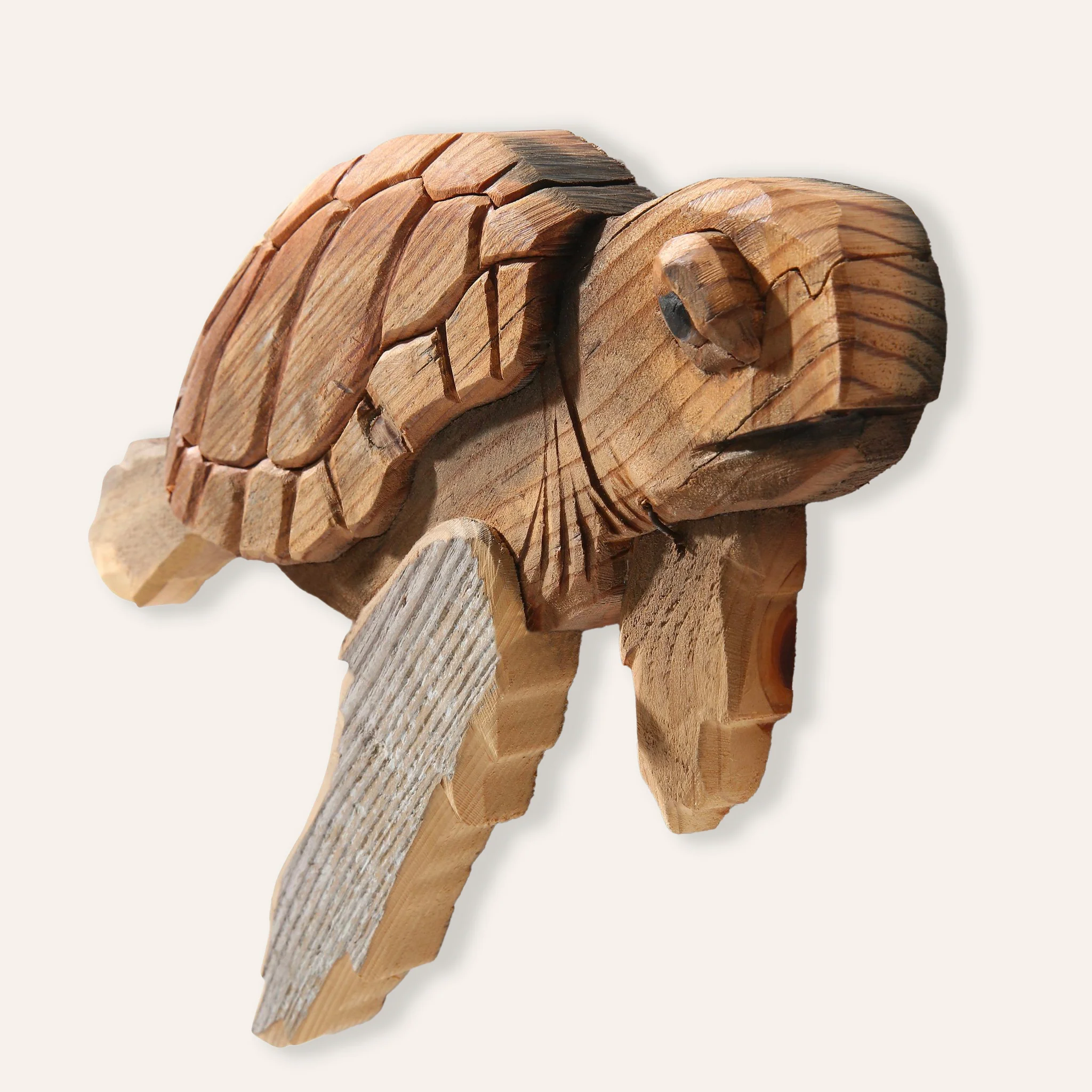 Wooden Turtle - Image 2